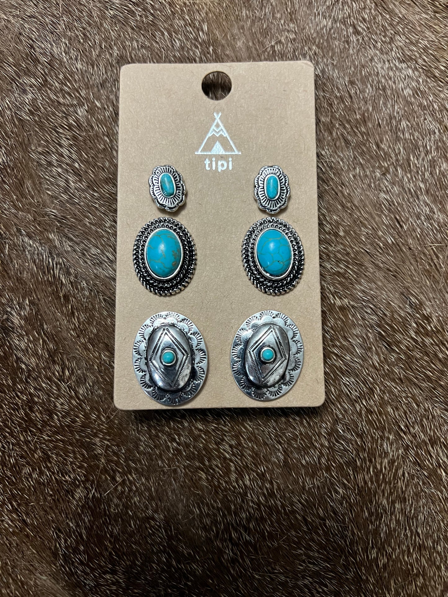 Silver and Turquoise Earrings