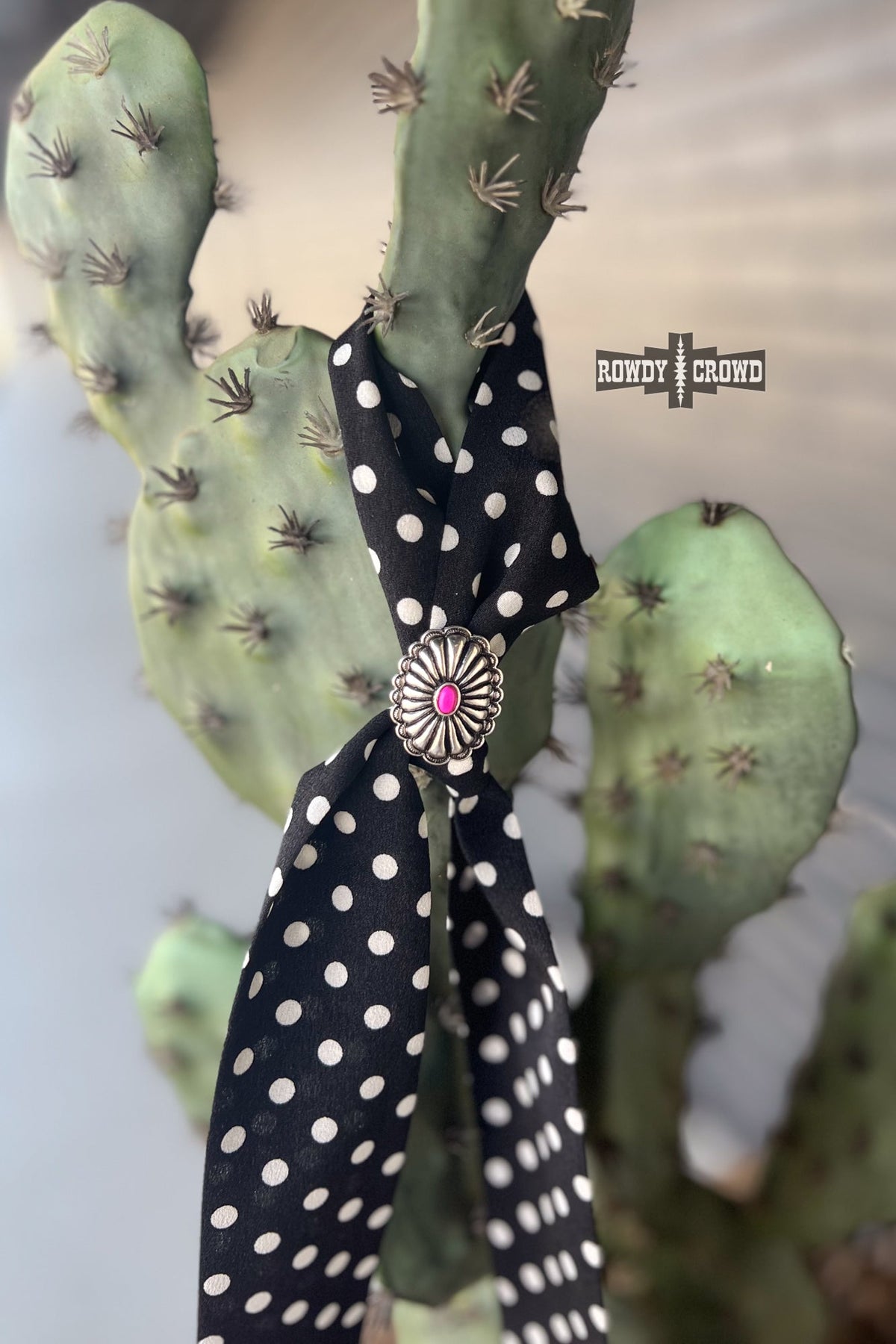 Cowgirl Concho Scarf Slide