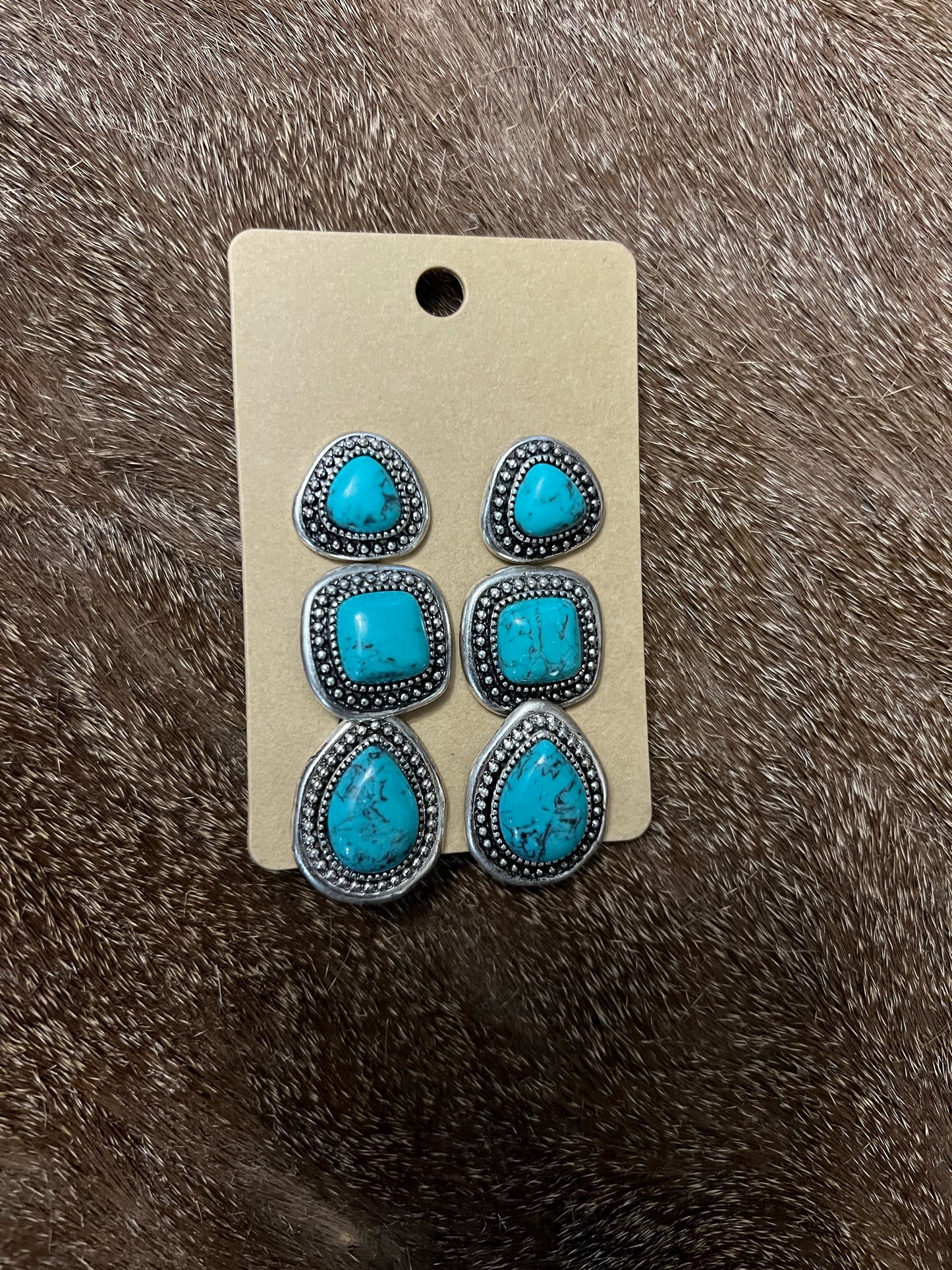 Turquoise with Silver Earrings